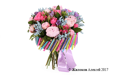 ����� ������ �������