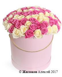 ����� ������ ���������� � ������� �������