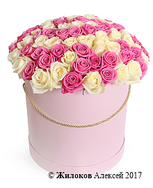 ����� ������ ���������� � ������� �������