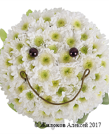 ���������� �����