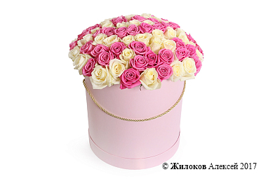 ����� ������ ���������� � ������� �������