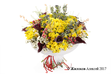 ����� � ������������ �������� ����������