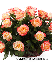 ����� 35 ��� ������ � �������