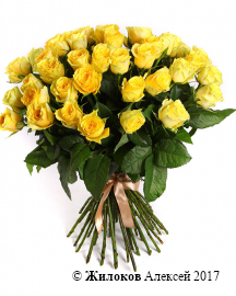 Букет 51 роза Илиос