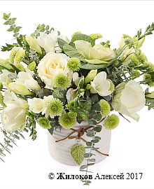 ����� �������� ���� � ����