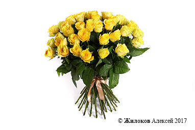 ����� 51 ���� �����