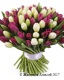 ����� 101 ����������� �������, ����-��������� ����