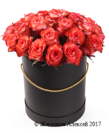 ����� 25 ��� ������ � ������� �������