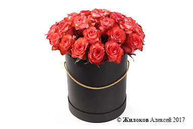 ����� 25 ��� ������ � ������� �������