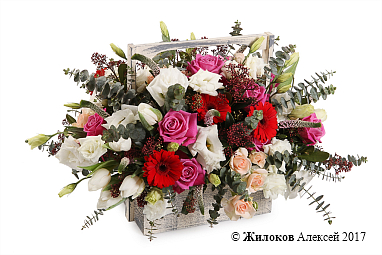 ���������� � �������� ������� �������