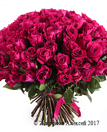 ����� 101 ���� ���� ���