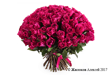 ����� 101 ���� ���� ���