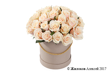 ����� 35 ��� ����� � ������� �������