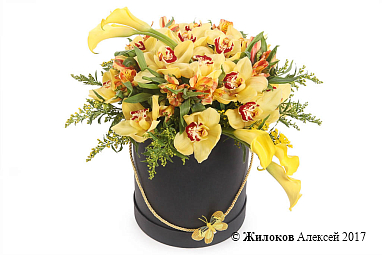 ����� ���� ����� � ������� �������