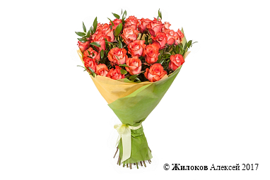 ����� ����� ������