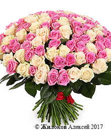 ����� ����������, 101 ����