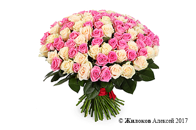 ����� ����������, 101 ����