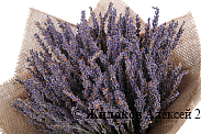 Букет из лаванды Аромат Прованса в мешковине