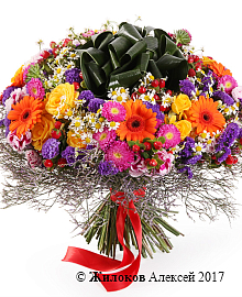 ����� ������ ��������