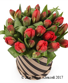 ����� 25 ��������� � ������� �������