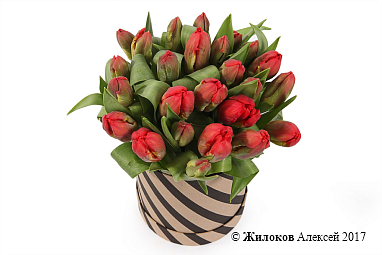 ����� 25 ��������� � ������� �������