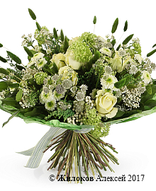 ����� ������� �������