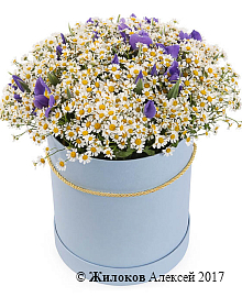 ����� � ��������� �������� ����� � ������� �������