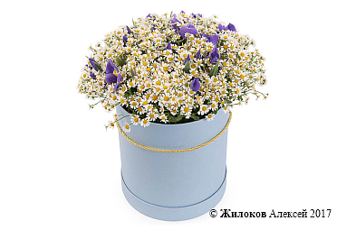 ����� � ��������� �������� ����� � ������� �������