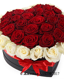 ����� ����� ������ � ������� ������� ������