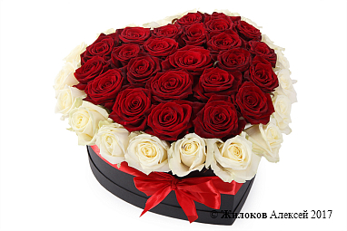 ����� ����� ������ � ������� ������� ������