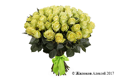 ����� 51 ���� �����