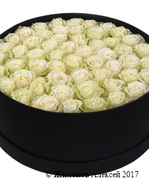 ����� 55 ��� �������� � ������� �������