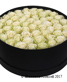 ����� 55 ��� �������� � ������� �������