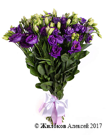 ����� ������� ���������