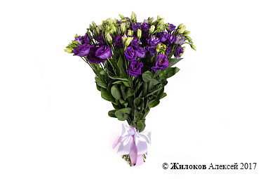 ����� ������� ���������