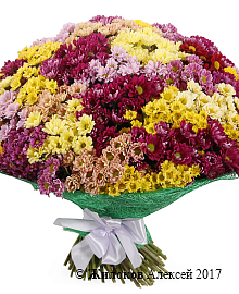 ����� 151 ���������� �������