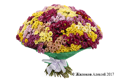 ����� 151 ���������� �������