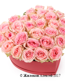 ����� ���� ������ � ������� ������� ������