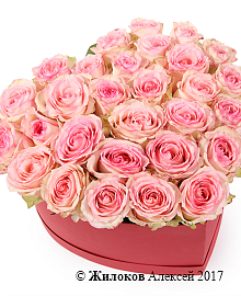 ����� ���� ������ � ������� ������� ������