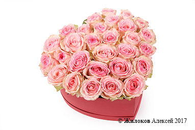 ����� ���� ������ � ������� ������� ������