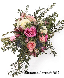 ����� ������� ����