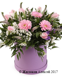 ����� ����� ����� � ������� �������