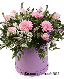 ����� ����� ����� � ������� �������