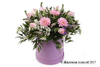 ����� ����� ����� � ������� �������