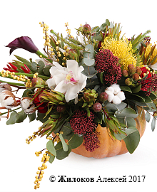 ����� ������ ����� � �����