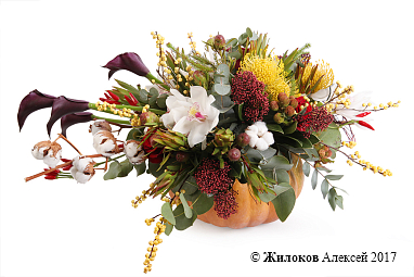 ����� ������ ����� � �����