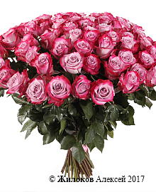 ����� 71 ���� ��� �����