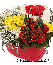 ����� ���-�-��� � ������� ������� ������