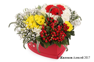 ����� ���-�-��� � ������� ������� ������