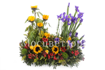 ����� �������� �����